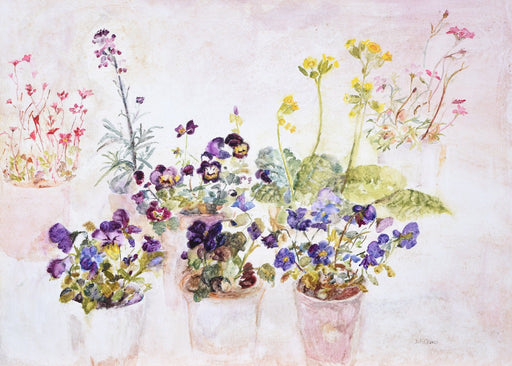 A watercolour flower greeting card of garden flowers in their flowerpots. A perfect card for a gardener or perhaps a card for Mum. A blank card for your own message.