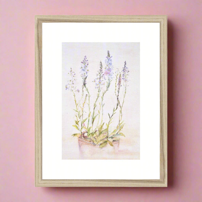 A botanical framed print of wild flower Speedwell perfect as wall art for the bedroom. This framed art measures 16 inches x 12 inches