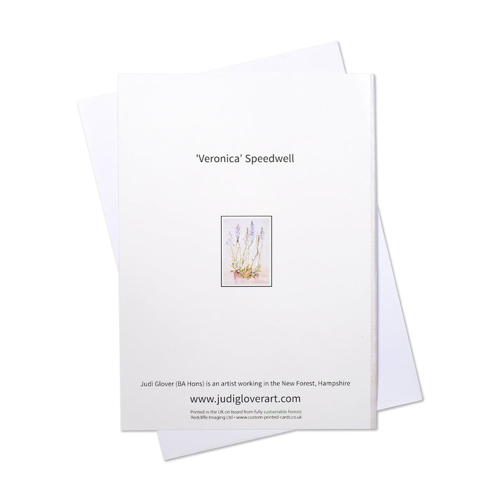 A wildflower greeting card of a delicate watercolour painting of the British wildflower Speedwell. A floral card suitable as a greeting card for any occasion such as a sympathy card
