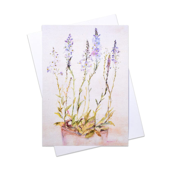 A wildflower greeting Card of the pretty wildflower Speed well. This floral greeting card is perfect for most occasions such a a card for gardeners or it's calmness and serenity would make an ideal sympathy card for your own message