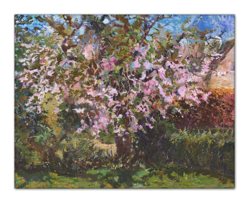 Cherry Tree Canvas Print. Canvas Print made from original painting of a Cherry Blossom. Canvas Print from original art. Available at Judi Glover Art. Original Painting by Judi Glover. Used for Wall Art.