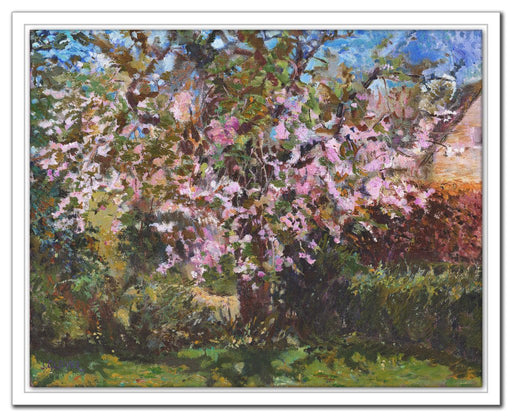Cherry Tree Canvas Print. Canvas Print made from original painting of a Cherry Blossom. Canvas Print from original art. Available at Judi Glover Art. Original Painting by Judi Glover. Used for Wall Art.