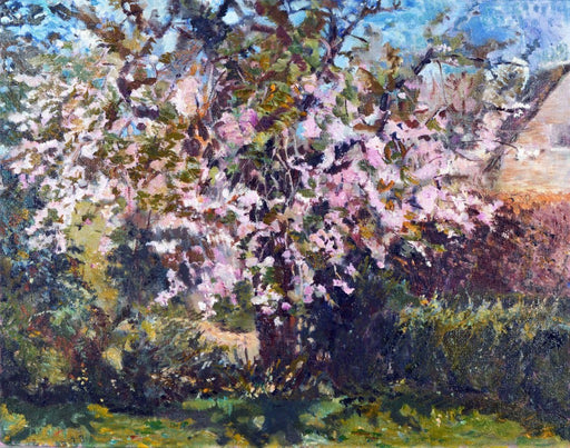 Cheery blossom card by Judi Glover Art from a painting of a cherry tree. The artistic greeting card shows pink petals in the tree, each card is 7 x 5 inches in size and is blank with envelopes