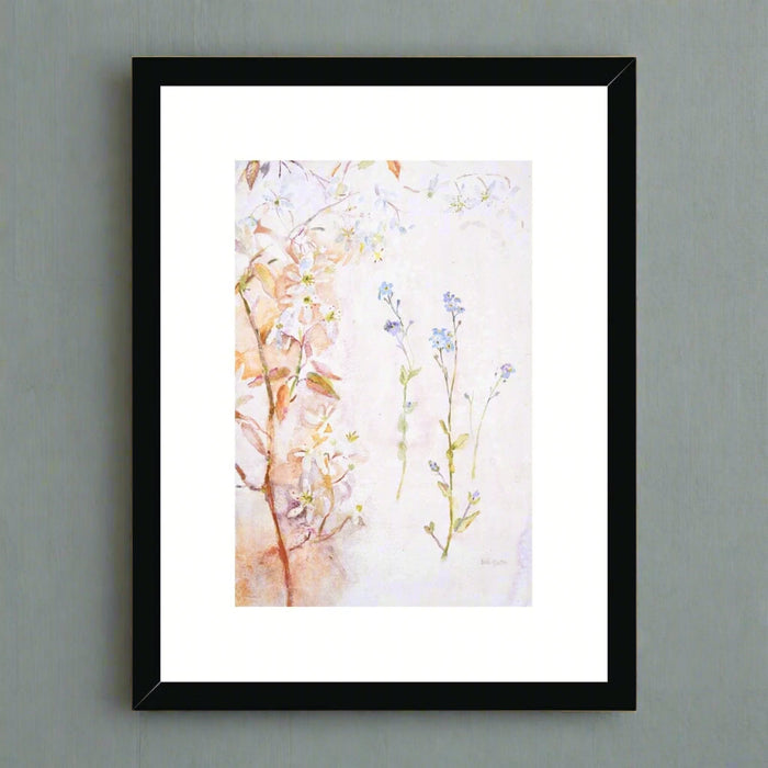 A 12" x 16' framed print of Forget me nots. This botanical framed and mounted print is in a black wooden frame. The framed print is hanging on a wall. 