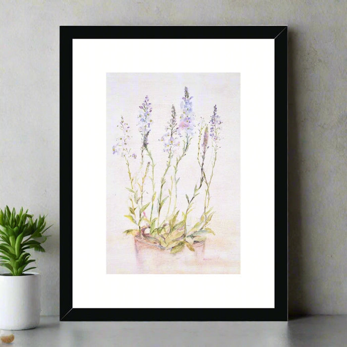 A framed art print of a watercolour painting of the wildflower Speedwell. This botanical framed print is floral  wall art for the bedroom measuring 12" X 16"