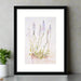 A framed art print of a watercolour painting of the wildflower Speedwell. This botanical framed print is floral  wall art for the bedroom measuring 12" X 16"