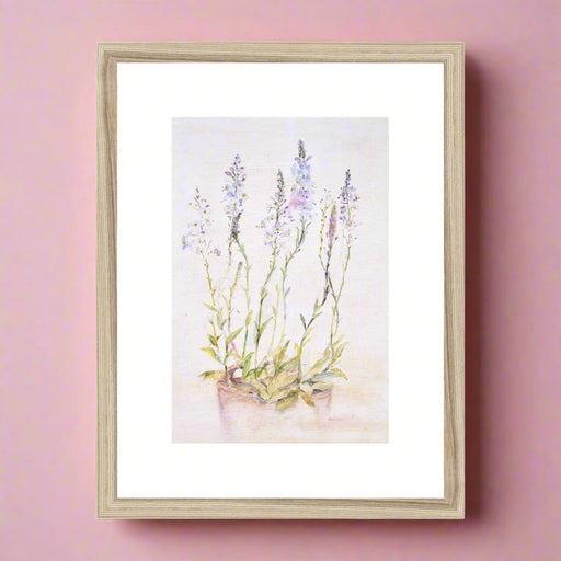 A botanical framed print of wild flower Speedwell perfect as wall art for the bedroom. This framed art measures 16 inches  x 12 inches