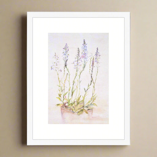 A botanical framed print of the pink wildflower Speedwell. The framed art  is mounted in a white wooden frame and making unique wall art for the bedroom