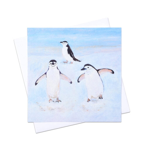 A Christmas card featuring three penguins playing in the snow which is part of a set of 6 bird Christmas cards
