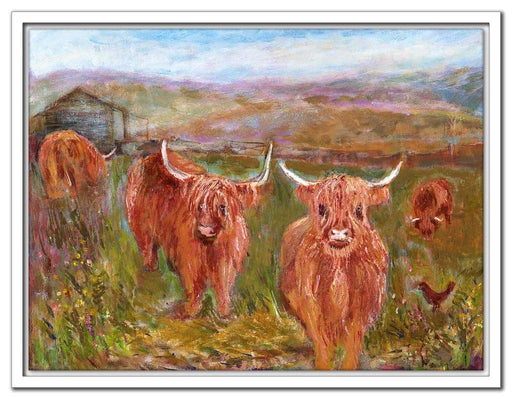 Highland cow canvas framed in white available at www.judigloverart.com. The highland cows canvas print shows four Highland cows in a field and is printed from a painting by Judi Glover in the UK