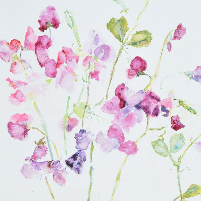 Art greeting card by judi glover art made from a watercolour painting of sweet peas. The sweet pea card has green, pink and violet sweet peas and is blank inside